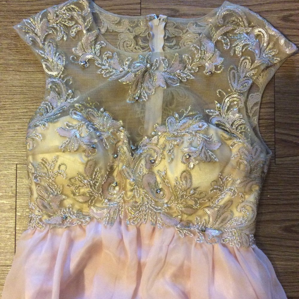 Vintage Princess Dress